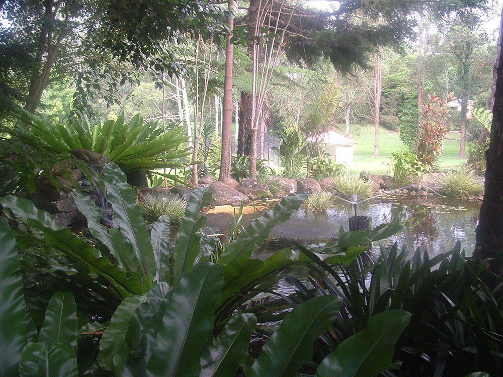 Bendles Cottages Maleny Exterior foto