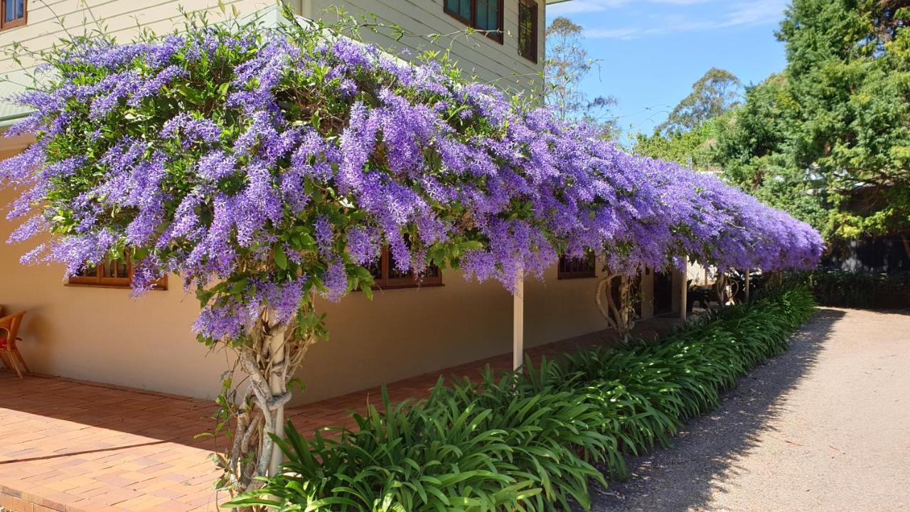 Bendles Cottages Maleny Exterior foto